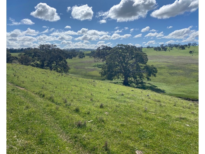Section 551 Jutland Road, Keyneton SA 5353