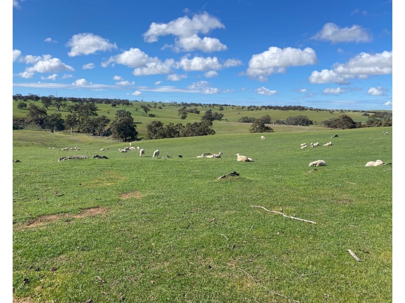 Section 551 Jutland Road, Keyneton SA 5353