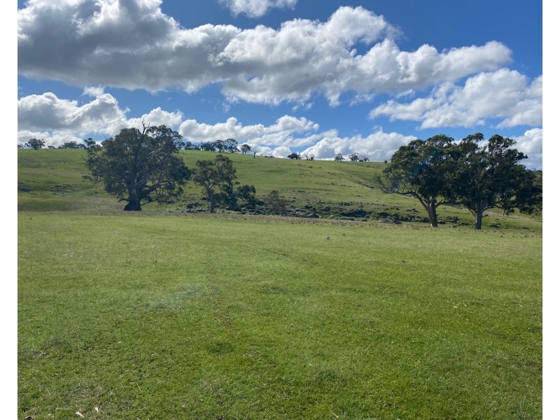 Section 551 Jutland Road, Keyneton SA 5353