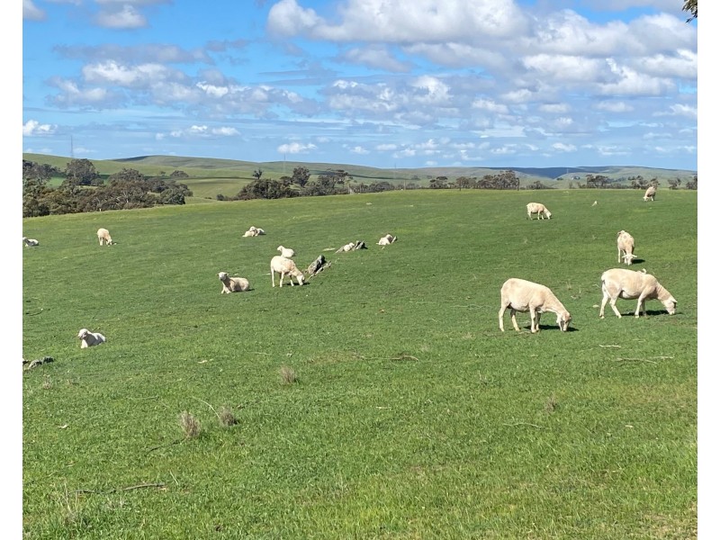 Section 551 Jutland Road, Keyneton SA 5353