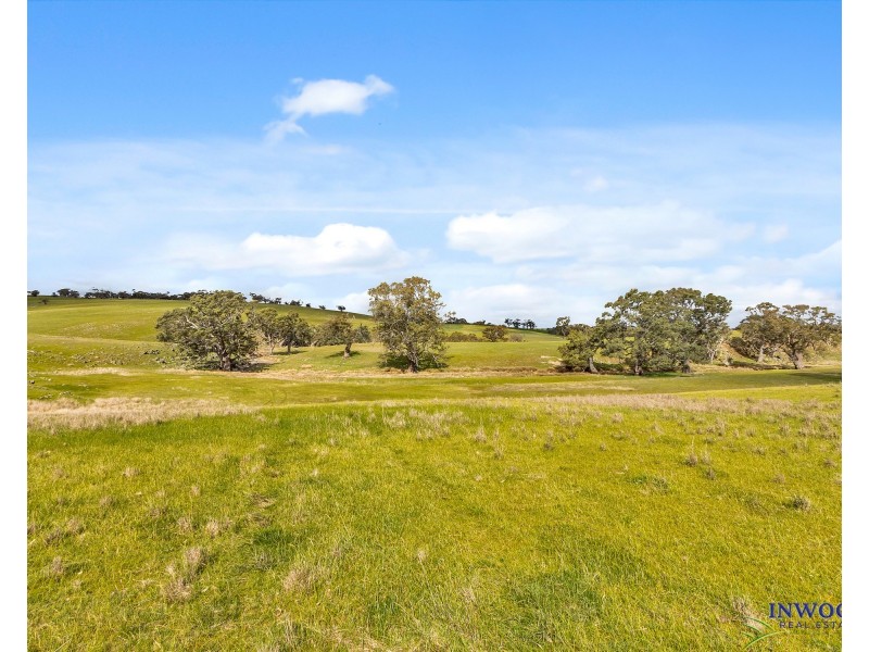Section 551 Jutland Road, Keyneton SA 5353