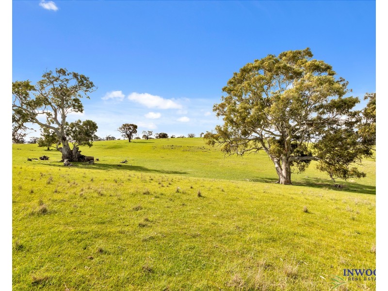Section 551 Jutland Road, Keyneton SA 5353