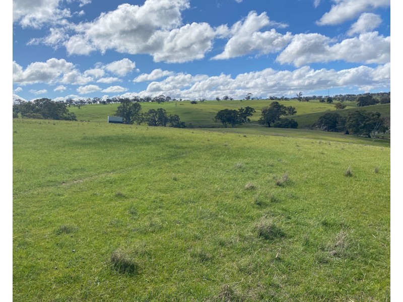 Section 551 Jutland Road, Keyneton SA 5353