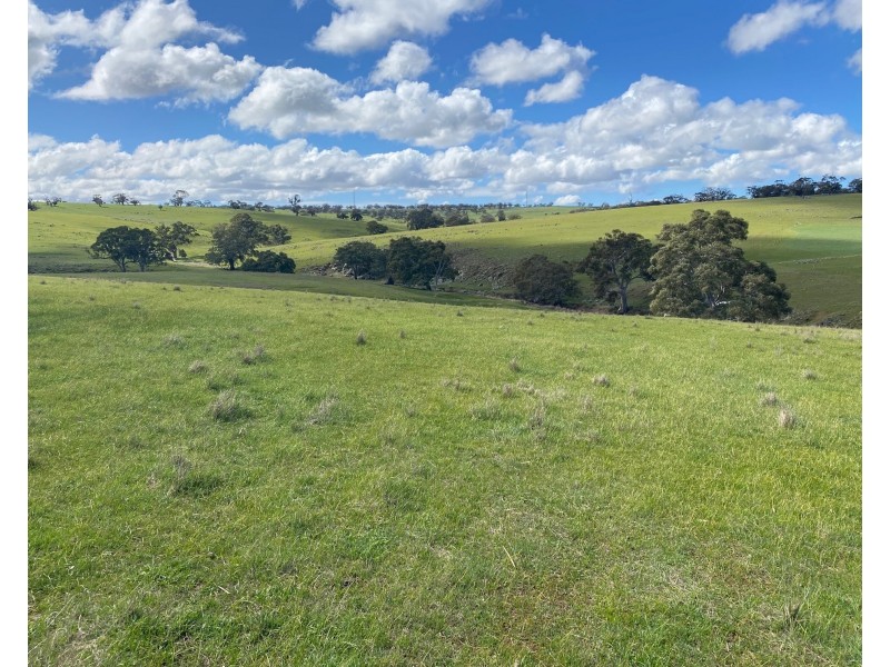 Section 551 Jutland Road, Keyneton SA 5353
