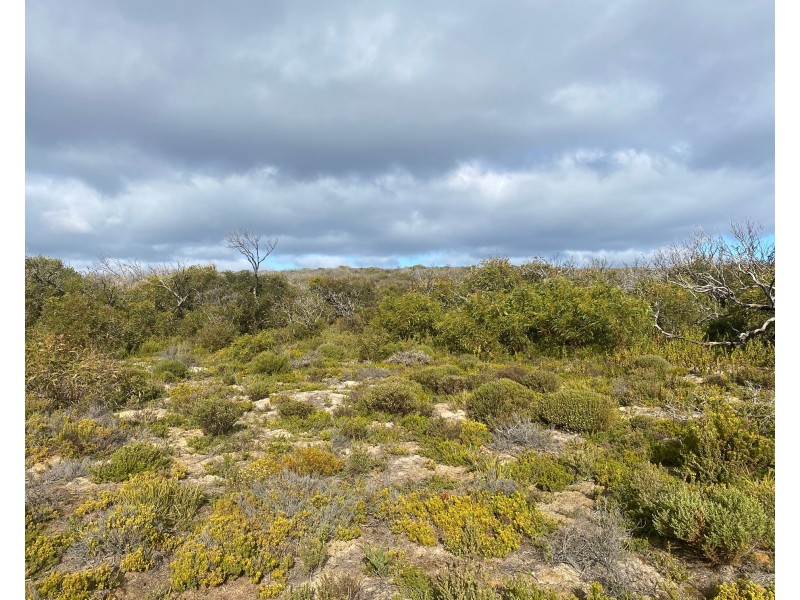 826, 827, 828, 829/South South Coast Road, Kangaroo Island, Stun’sail Boom SA 5223