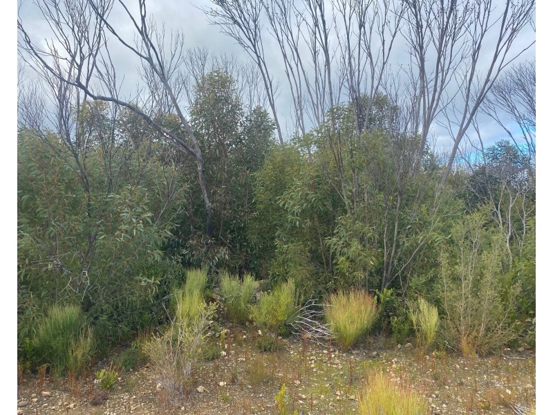 826, 827, 828, 829/South South Coast Road, Kangaroo Island, Stun’sail Boom SA 5223