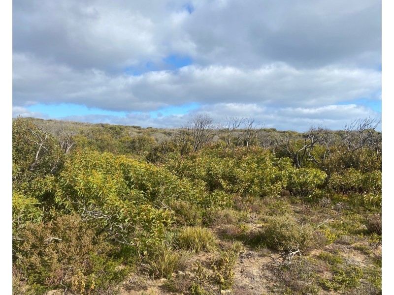 826, 827, 828, 829/South South Coast Road, Kangaroo Island, Stun’sail Boom SA 5223