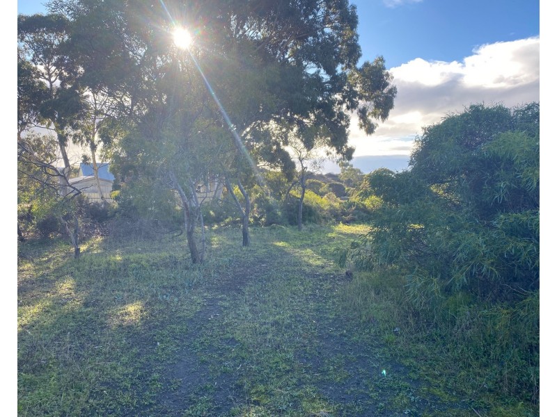 9 Beach Crescent, Baudin Beach SA 5222