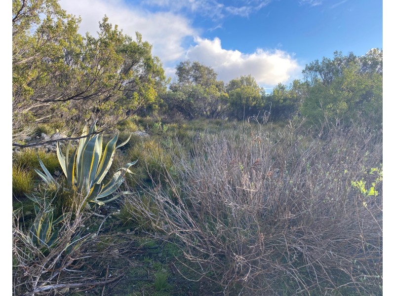 14 Coral Crescent, Island Beach SA 5222