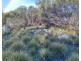 14 Coral Crescent, Island Beach SA 5222