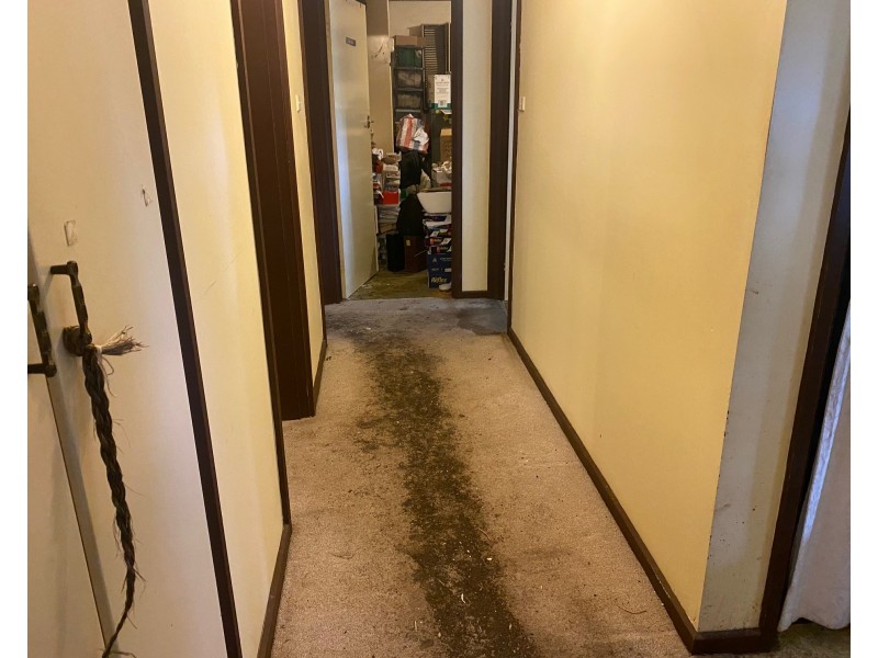 25 William Street, Mount Pleasant SA 5235