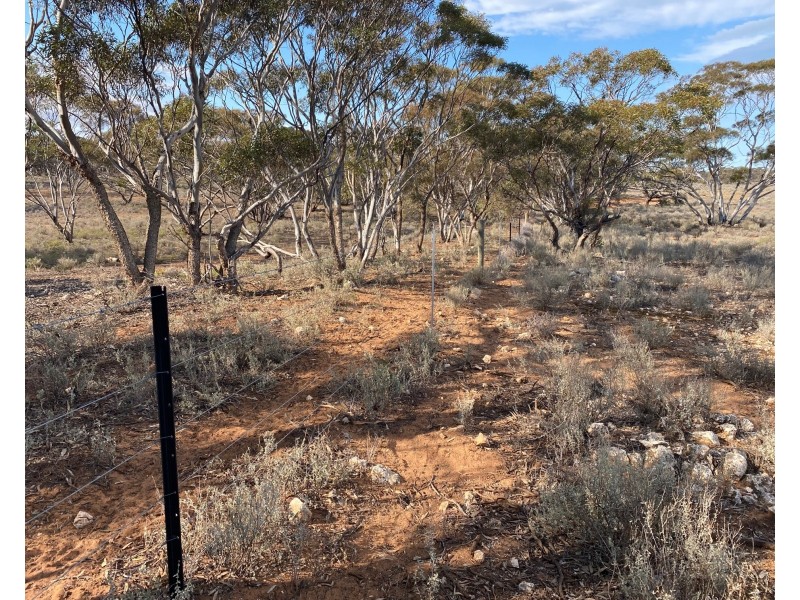 66 Battens Road, Sedan SA 5353