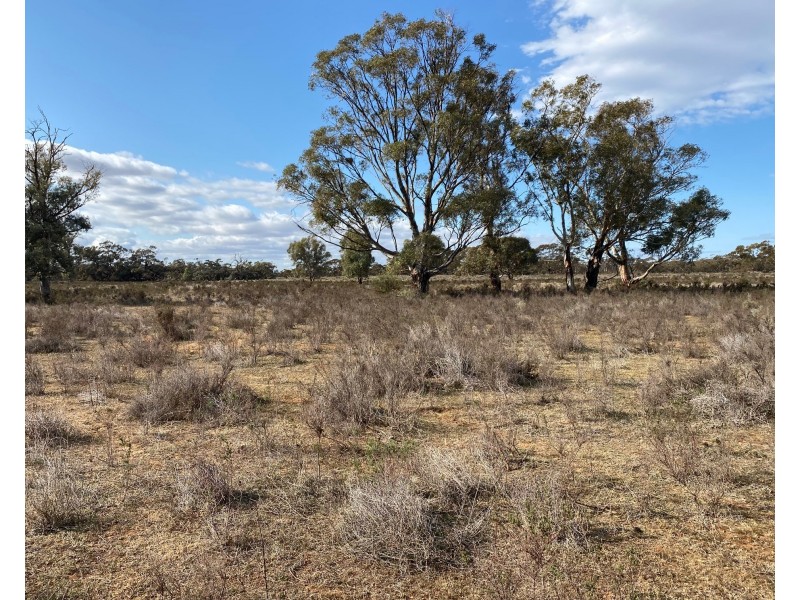 66 Battens Road, Sedan SA 5353