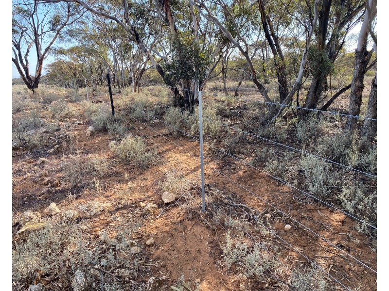 66 Battens Road, Sedan SA 5353