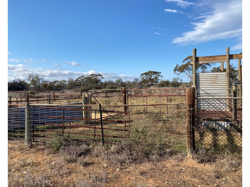 66 Battens Road, Sedan SA 5353