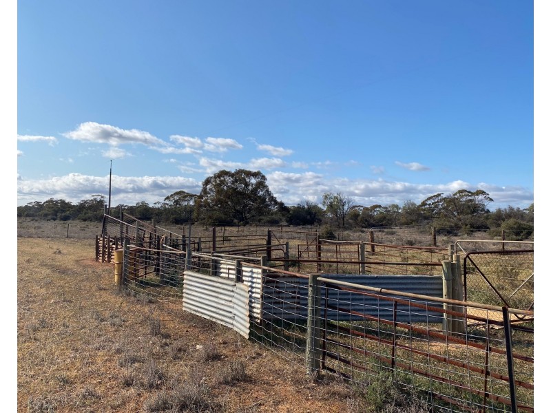 66 Battens Road, Sedan SA 5353
