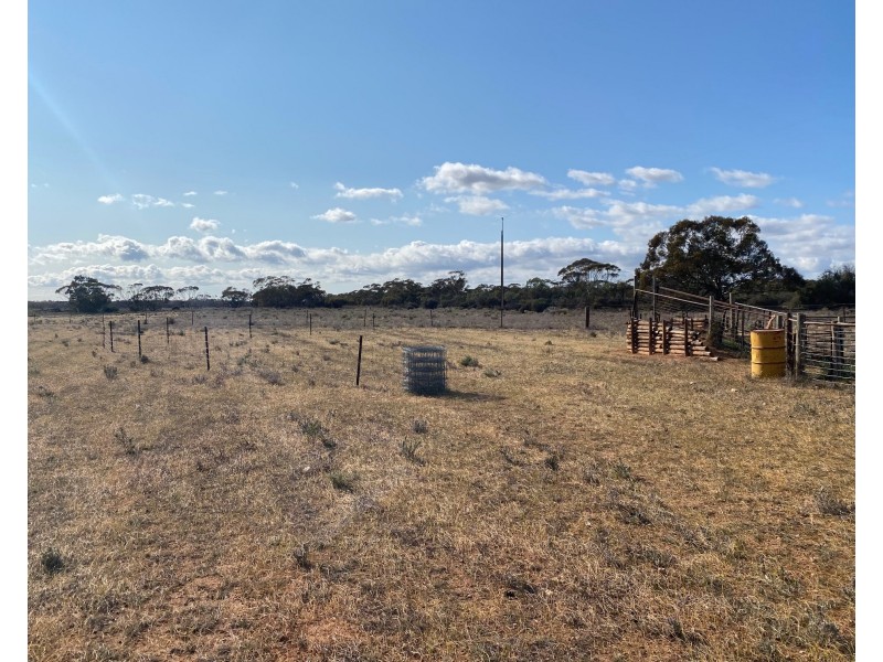 66 Battens Road, Sedan SA 5353