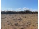 66 Battens Road, Sedan SA 5353