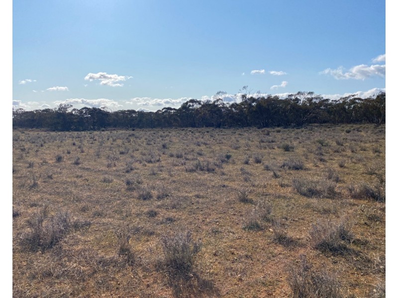 66 Battens Road, Sedan SA 5353