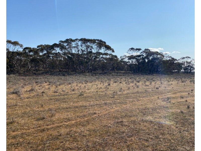 66 Battens Road, Sedan SA 5353