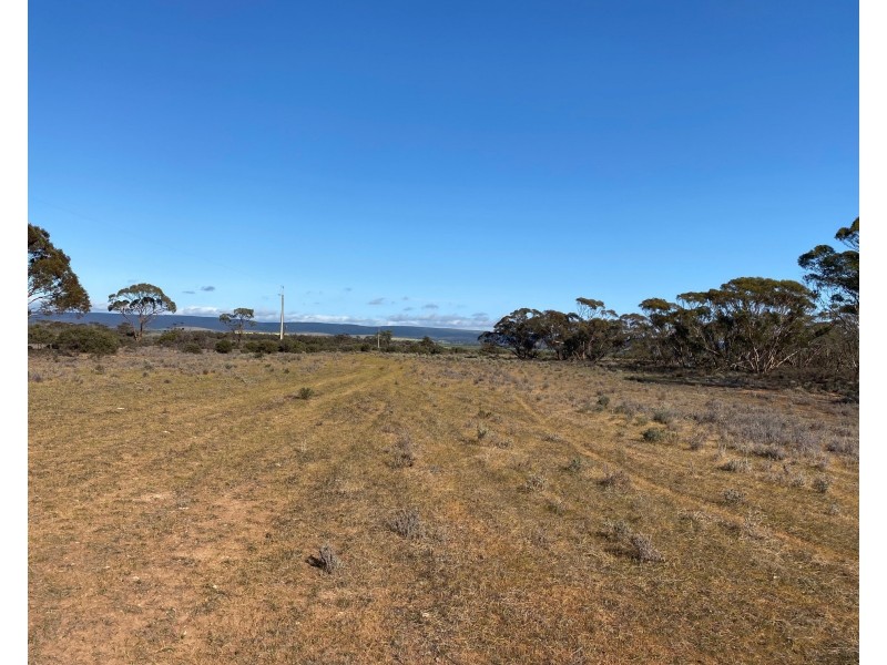 66 Battens Road, Sedan SA 5353