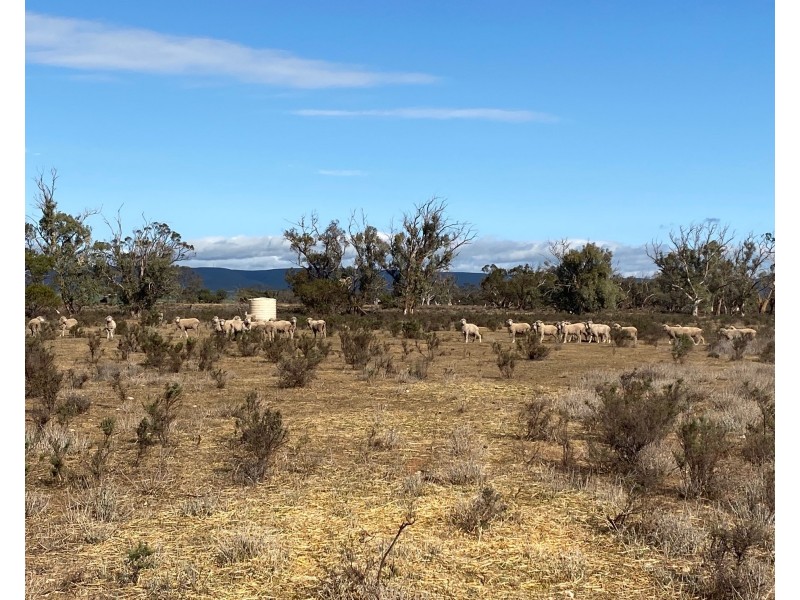 66 Battens Road, Sedan SA 5353