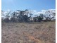 66 Battens Road, Sedan SA 5353