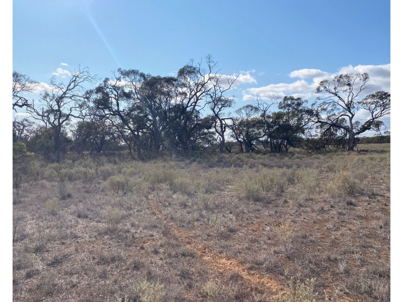 66 Battens Road, Sedan SA 5353