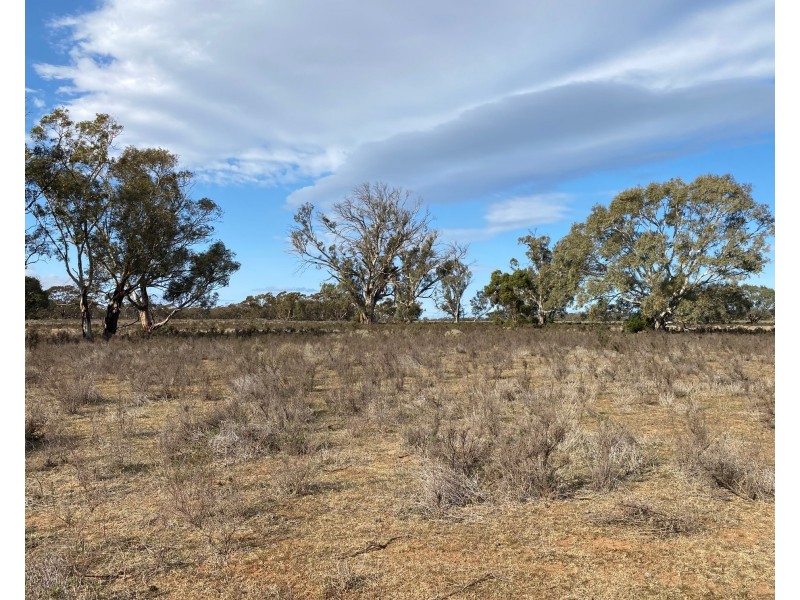 66 Battens Road, Sedan SA 5353