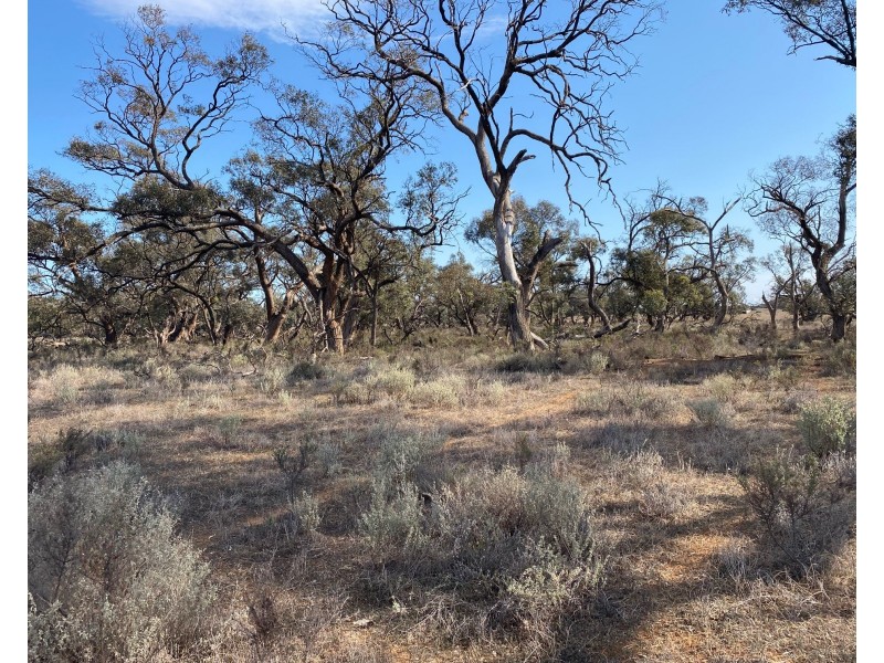 66 Battens Road, Sedan SA 5353