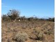 66 Battens Road, Sedan SA 5353
