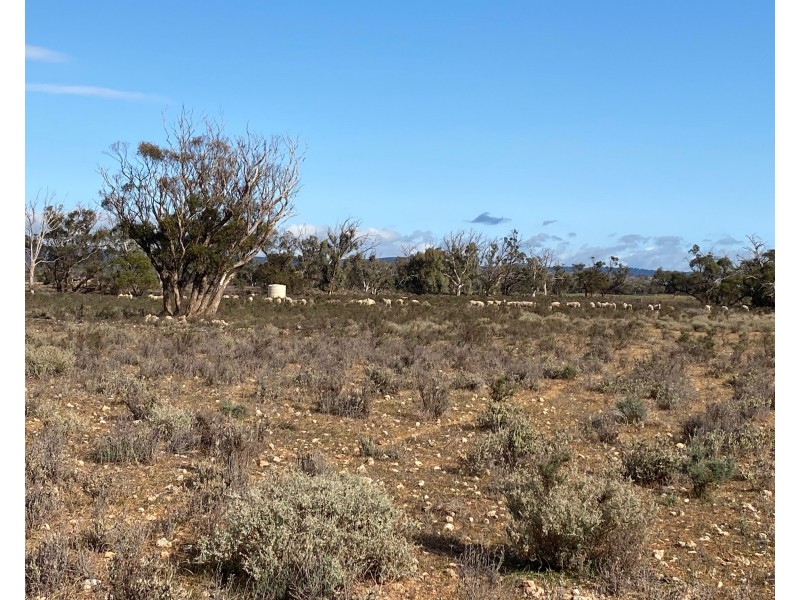 66 Battens Road, Sedan SA 5353