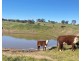 102 Matthews Road, Eden Valley SA 5235