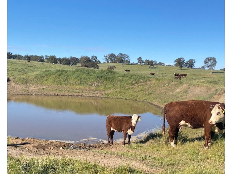 102 Matthews Road, Eden Valley SA 5235