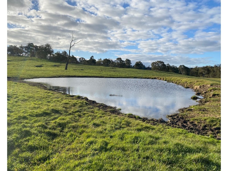 102 Matthews Road, Eden Valley SA 5235