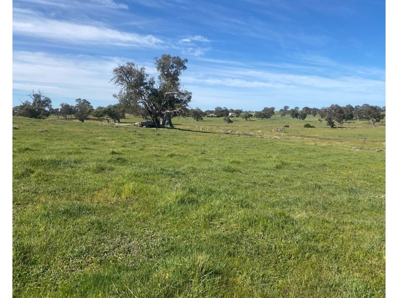 102 Matthews Road, Eden Valley SA 5235
