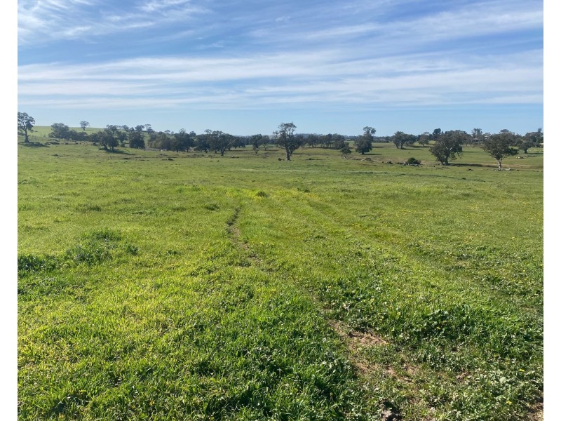 102 Matthews Road, Eden Valley SA 5235