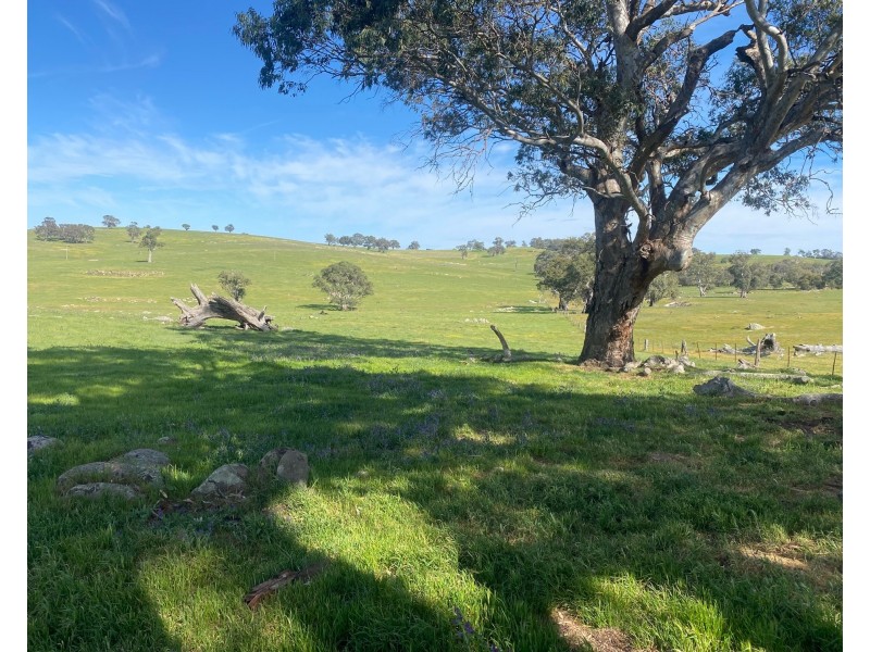 102 Matthews Road, Eden Valley SA 5235