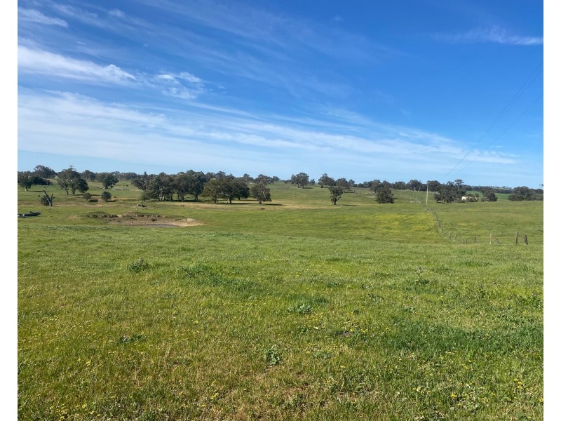 102 Matthews Road, Eden Valley SA 5235