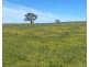 102 Matthews Road, Eden Valley SA 5235
