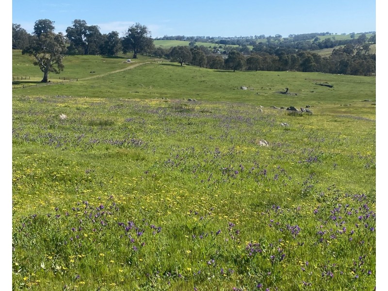 102 Matthews Road, Eden Valley SA 5235