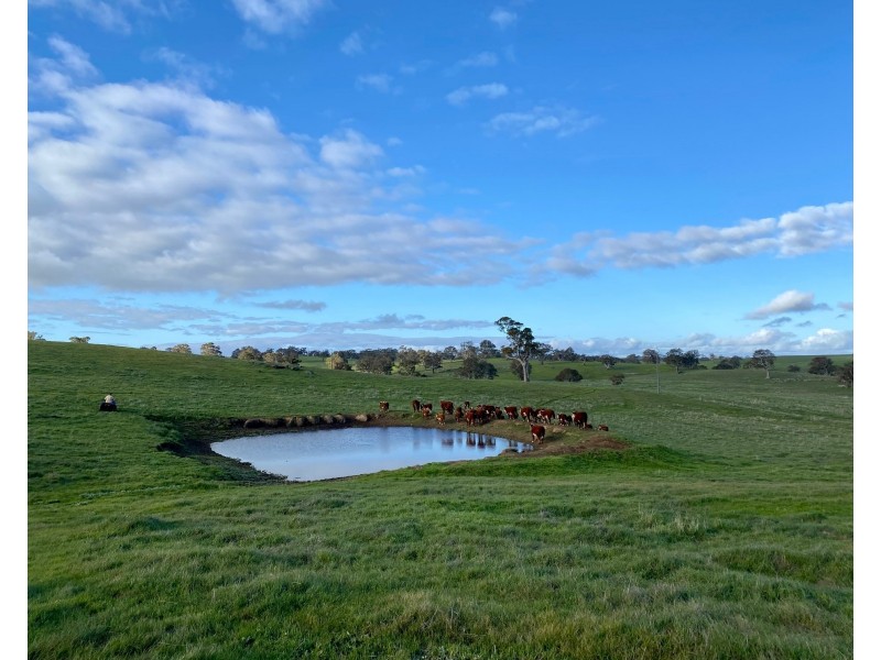 102 Matthews Road, Eden Valley SA 5235