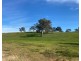 102 Matthews Road, Eden Valley SA 5235