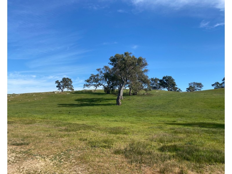 102 Matthews Road, Eden Valley SA 5235