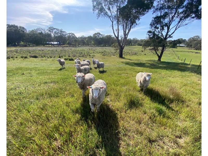 182 Talunga Park Road, Mount Pleasant SA 5235