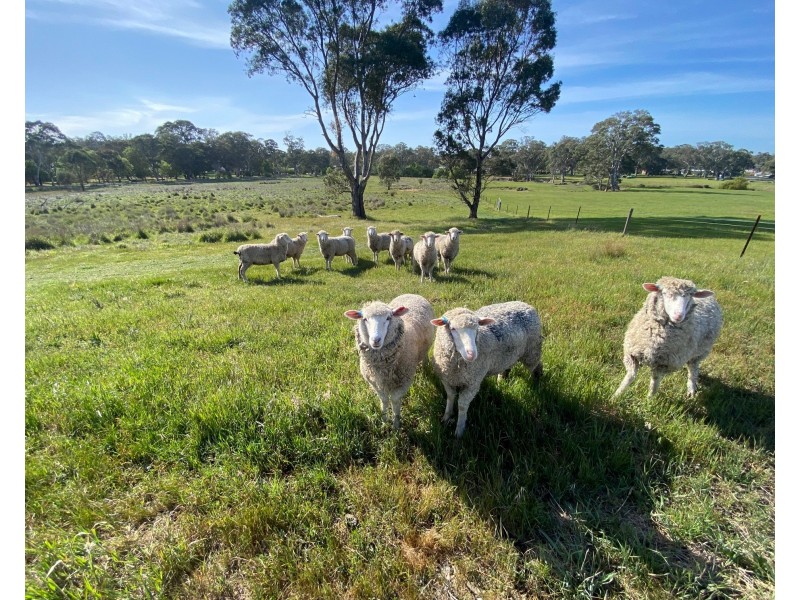 182 Talunga Park Road, Mount Pleasant SA 5235