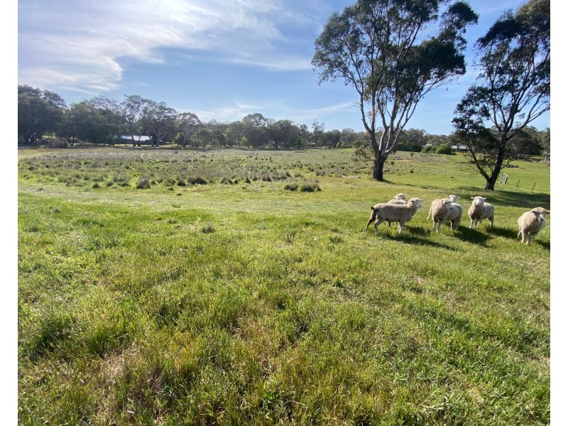 182 Talunga Park Road, Mount Pleasant SA 5235