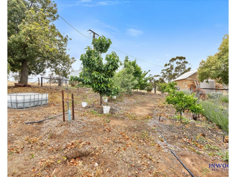 2370 Pine Hut Road, Keyneton SA 5353
