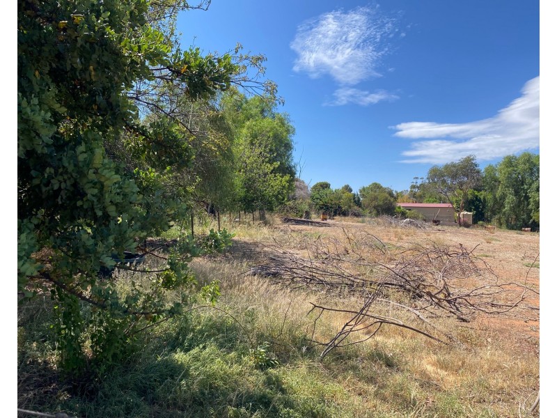 23 Adelaide Road, Palmer SA 5237