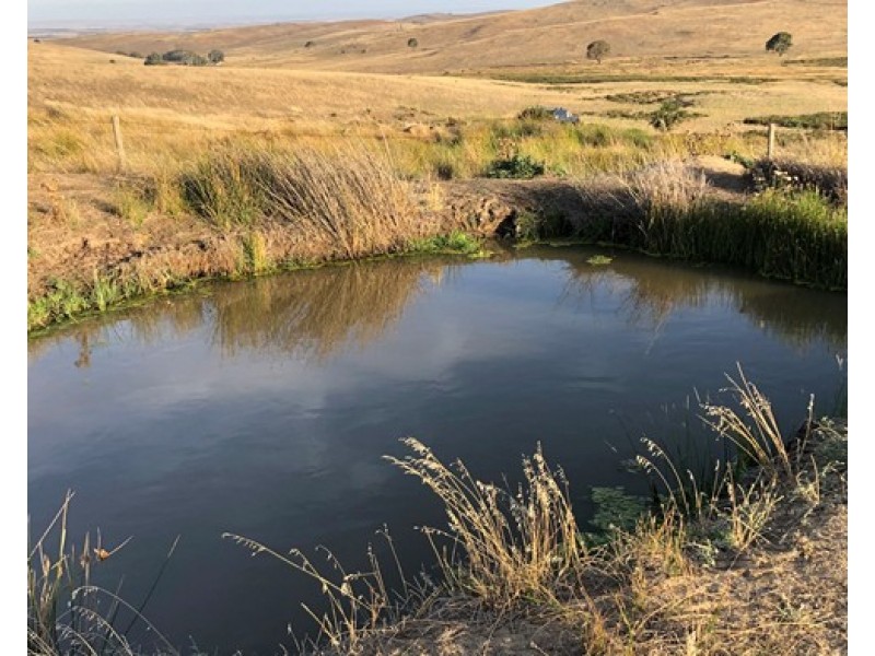 145 D Collins Road, Milendella SA 5237